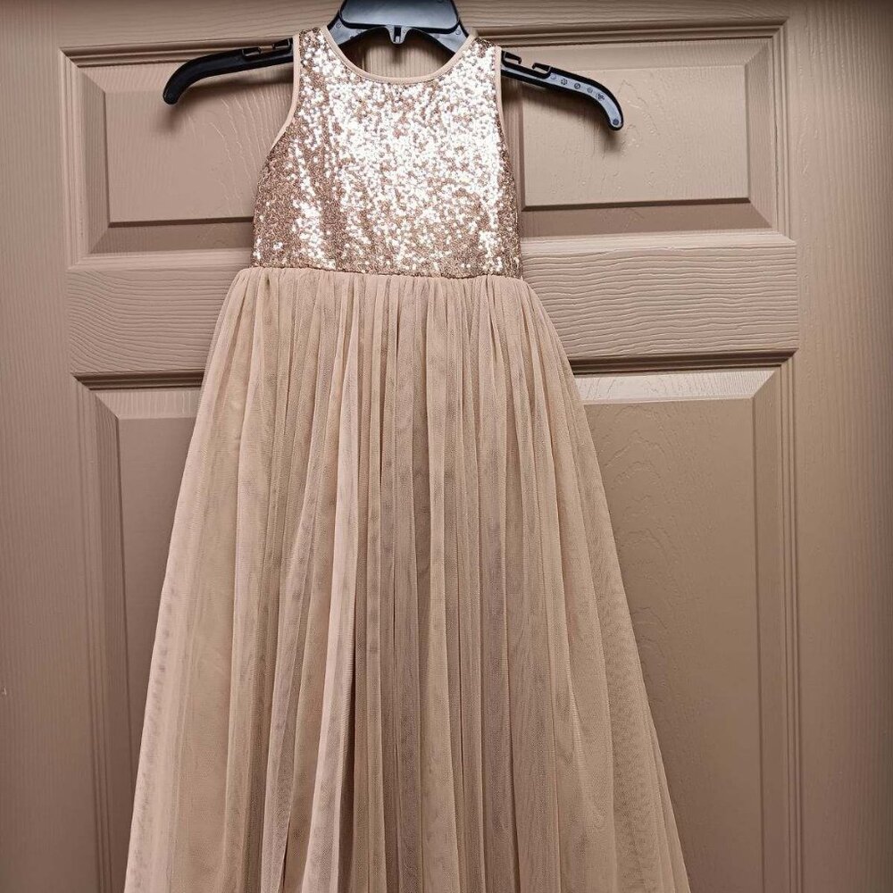 Girls size 6 beautiful, sparkly, tulle dress.